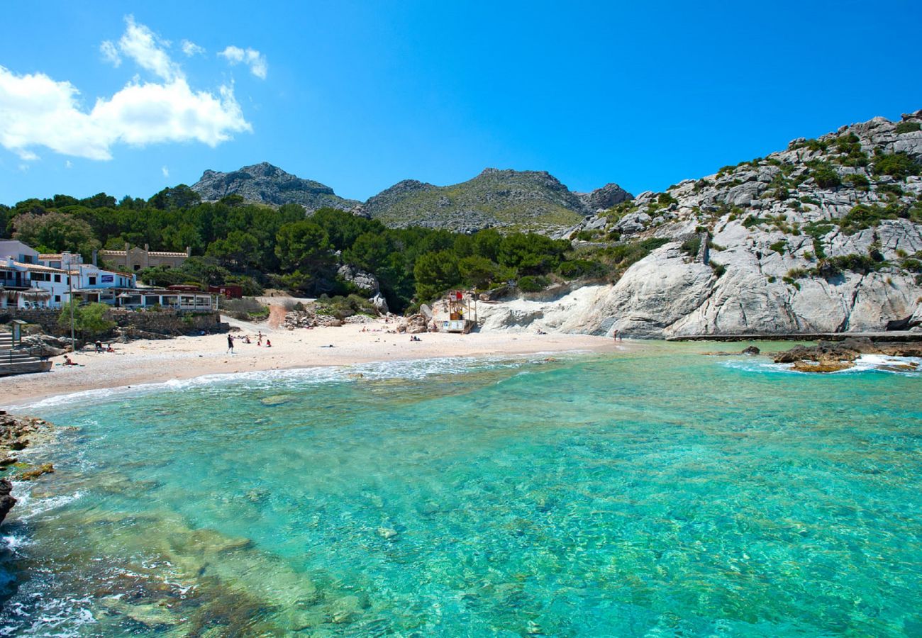 Villa in Pollensa - FINCA LLOBERINA - JUWEL INMITTEN IN DER NATUR