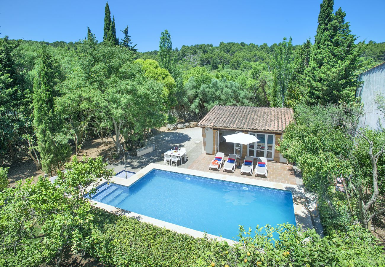 Villa in Pollensa - FINCA PLOMER - 2 MIN ZU FUSS ZUR ALTSTADT