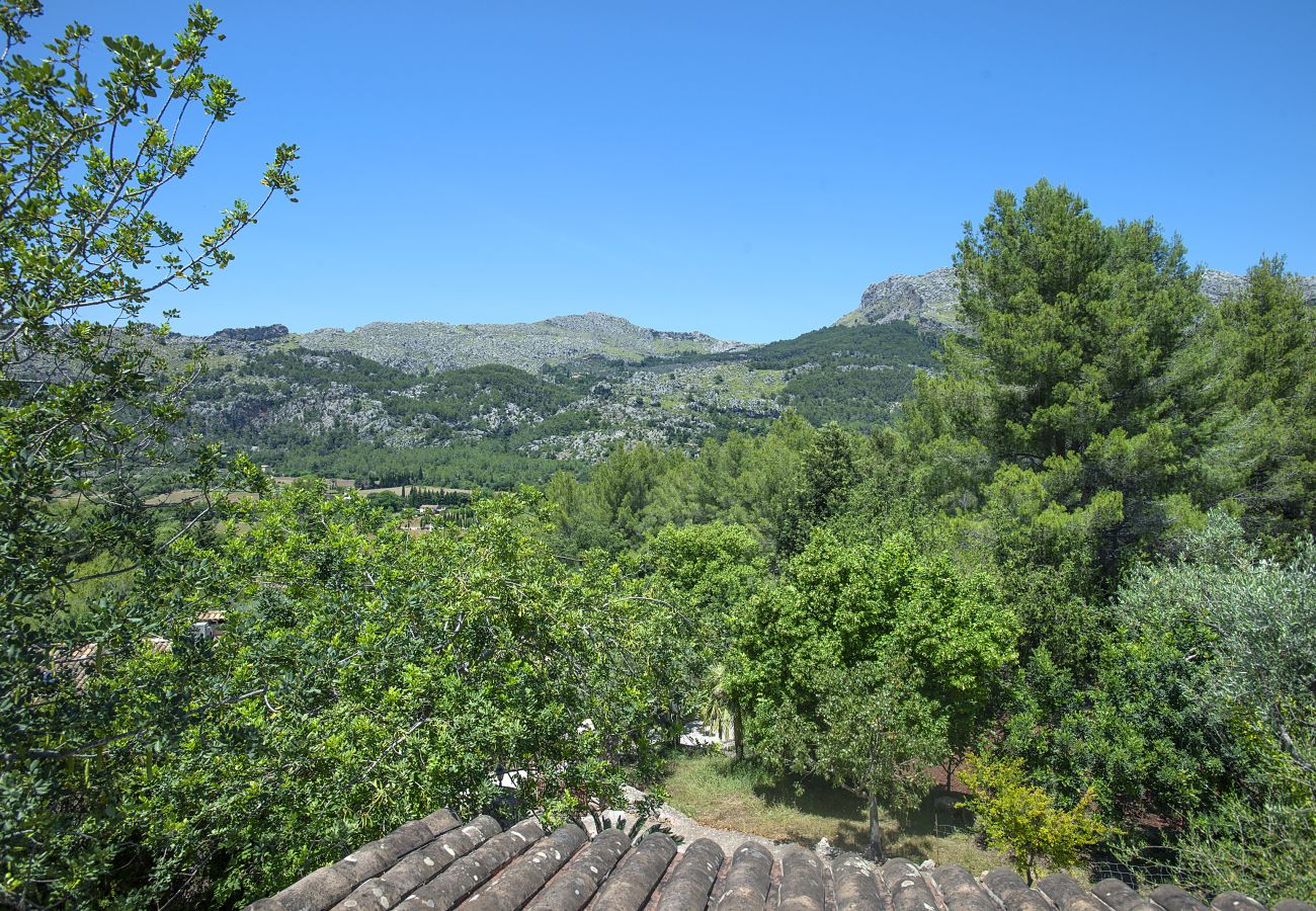 Villa en Pollensa - CHALET PICASA ALT - EN PLENA NATURALEZA